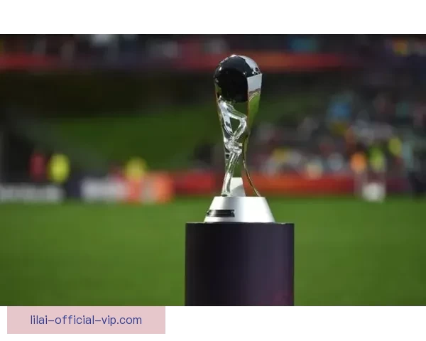 世界杯精彩对决全程预测与胜负走势深度解析指南